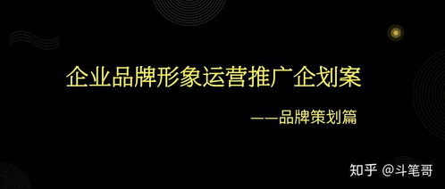 企業(yè)品牌形象運營推廣企劃案 品牌策劃篇