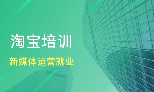 鄭州經(jīng)開(kāi)區(qū)淘寶培訓(xùn)機(jī)構(gòu)哪家好 淘寶培訓(xùn)哪家好 淘寶培訓(xùn)機(jī)構(gòu)學(xué)費(fèi) 淘學(xué)培訓(xùn)