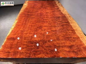 中木商網木業頭條 聚焦福建家有名木廠家直銷，一站式獲取木材批發價格、產品圖片與品牌信息